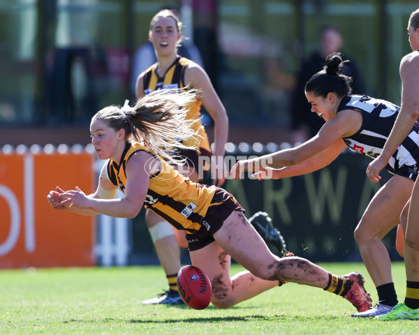 VFLW 2025 Second Semi Final - Collingwood v Box Hill - A-61399366