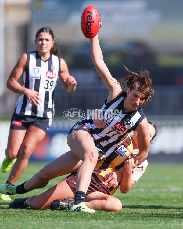 VFLW 2025 Second Semi Final - Collingwood v Box Hill - A-61399369