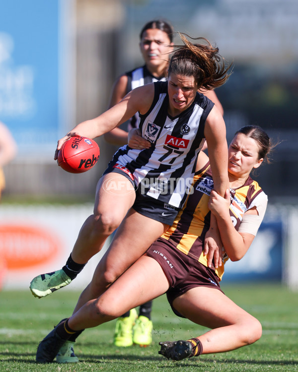 VFLW 2025 Second Semi Final - Collingwood v Box Hill - A-61399370