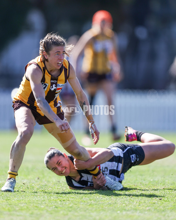VFLW 2025 Second Semi Final - Collingwood v Box Hill - A-61399404