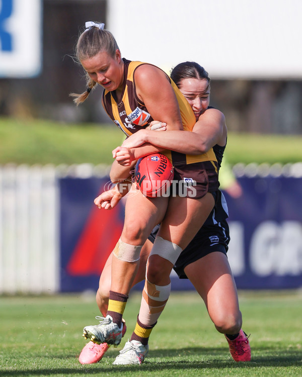VFLW 2025 Second Semi Final - Collingwood v Box Hill - A-61399408