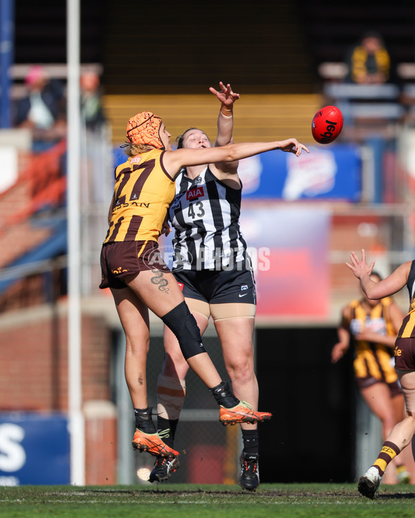 VFLW 2025 Second Semi Final - Collingwood v Box Hill - A-61399635