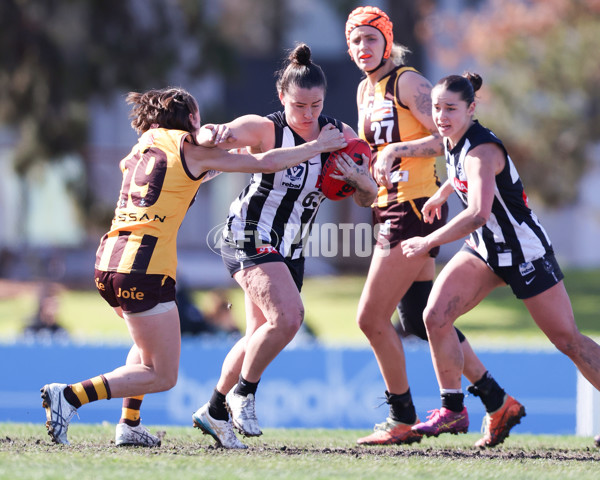 VFLW 2025 Second Semi Final - Collingwood v Box Hill - A-61399683