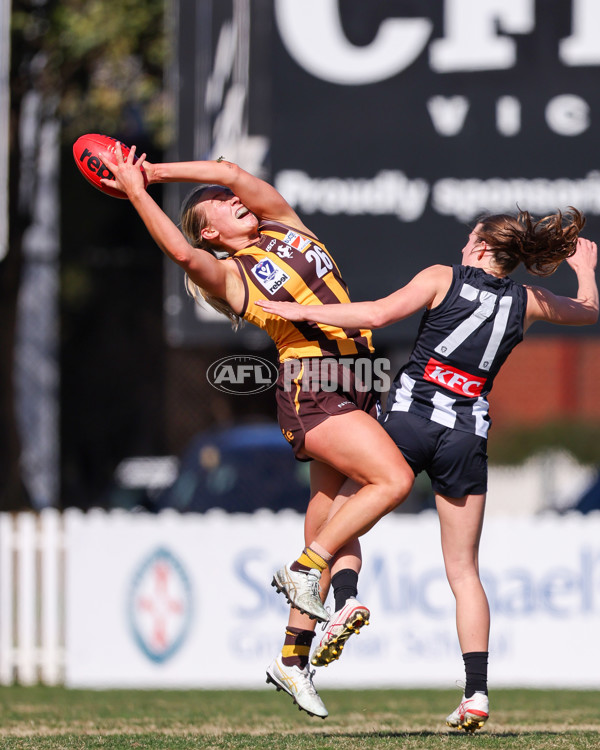 VFLW 2025 Second Semi Final - Collingwood v Box Hill - A-61399684