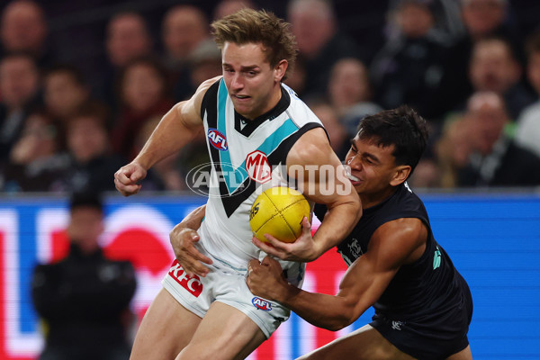 AFL 2025 Round 23 - Carlton v Port Adelaide - A-61404847