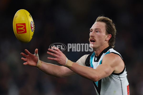 AFL 2025 Round 23 - Carlton v Port Adelaide - A-61410028