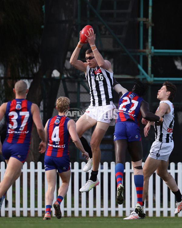 VFL 2025 Round 21 - Port Melbourne v Collingwood - A-61410090