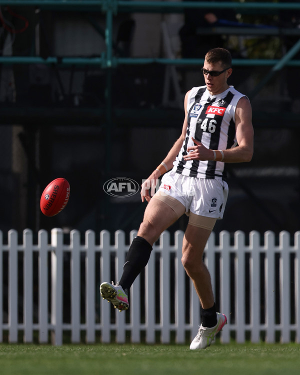 VFL 2025 Round 21 - Port Melbourne v Collingwood - A-61410091