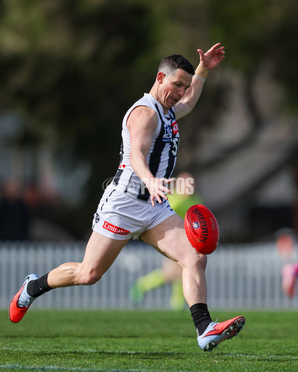 VFL 2025 Round 21 - Port Melbourne v Collingwood - A-61410385
