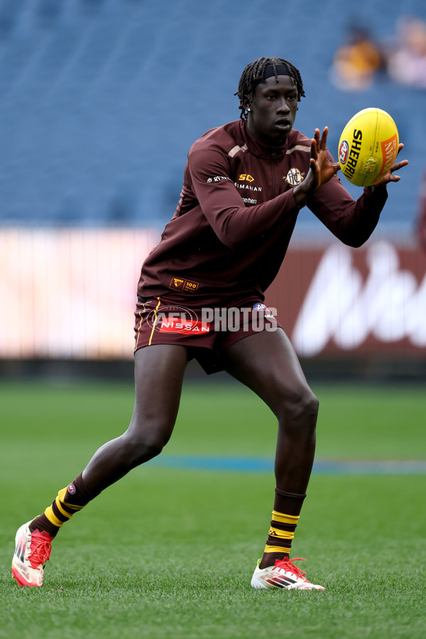 AFL 2025 Round 23 - Hawthorn v Melbourne - A-61410411