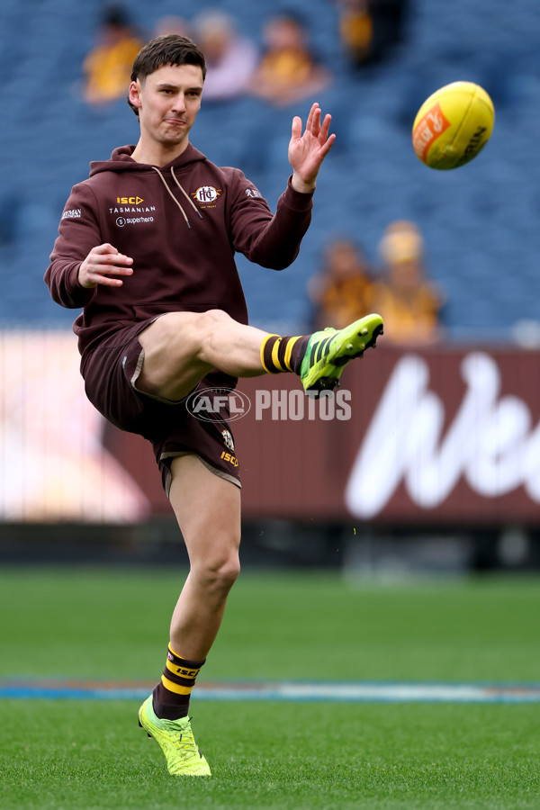 AFL 2025 Round 23 - Hawthorn v Melbourne - A-61412862