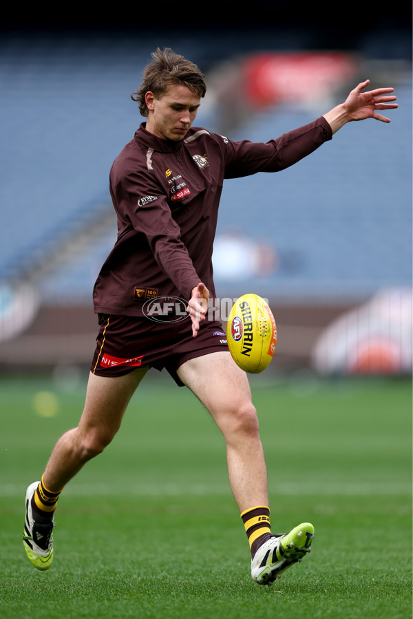 AFL 2025 Round 23 - Hawthorn v Melbourne - A-61412885