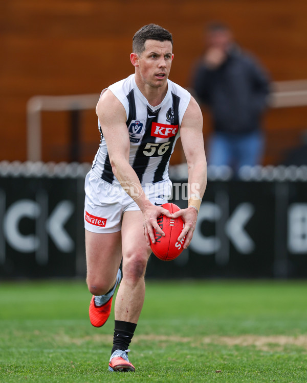 VFL 2025 Round 21 - Port Melbourne v Collingwood - A-61412923