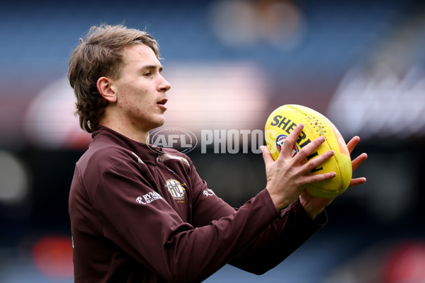 AFL 2025 Round 23 - Hawthorn v Melbourne - A-61413157
