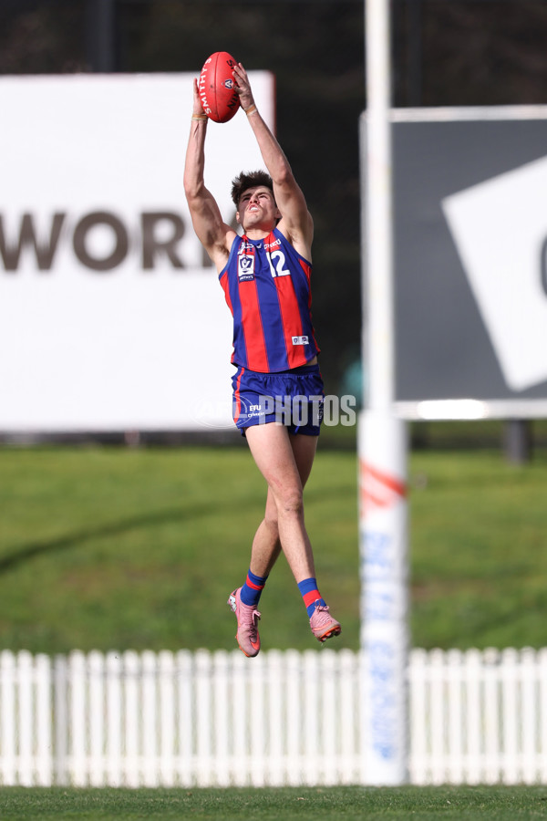VFL 2025 Round 21 - Port Melbourne v Collingwood - A-61413193