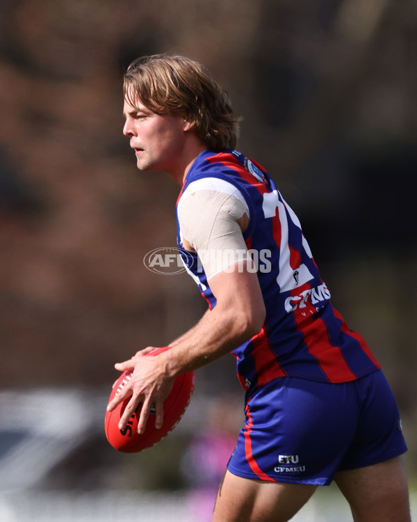 VFL 2025 Round 21 - Port Melbourne v Collingwood - A-61413196