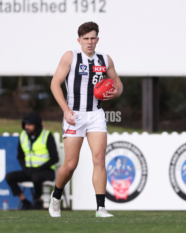 VFL 2025 Round 21 - Port Melbourne v Collingwood - A-61413198