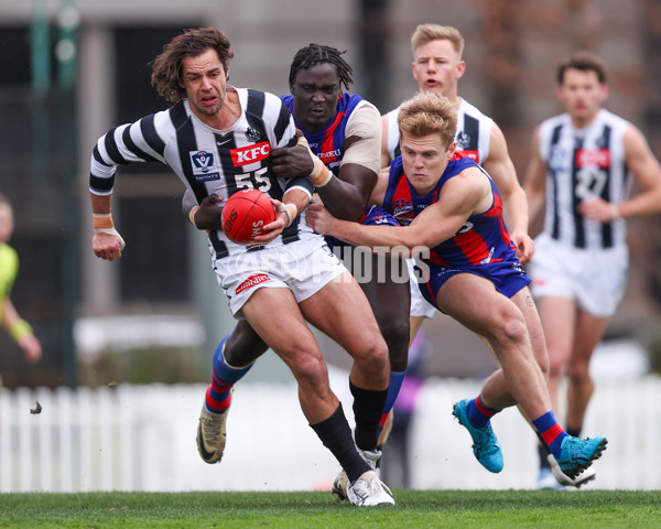 VFL 2025 Round 21 - Port Melbourne v Collingwood - A-61413228