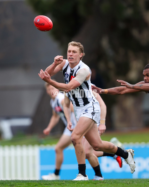 VFL 2025 Round 21 - Port Melbourne v Collingwood - A-61413229