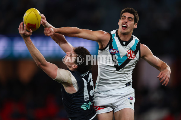 AFL 2025 Round 23 - Carlton v Port Adelaide - A-61413241