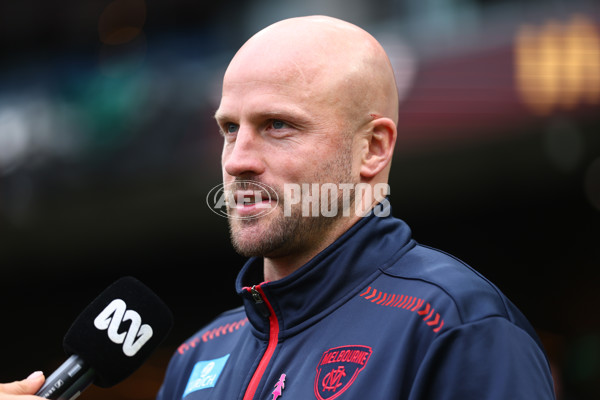 AFL 2025 Round 23 - Hawthorn v Melbourne - A-61415295