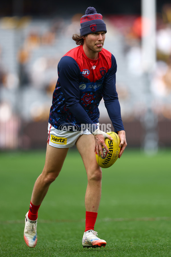 AFL 2025 Round 23 - Hawthorn v Melbourne - A-61415306