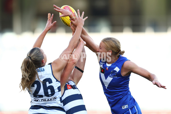 AFLW 2025 Round 01 - Geelong v North Melbourne - A-61415332