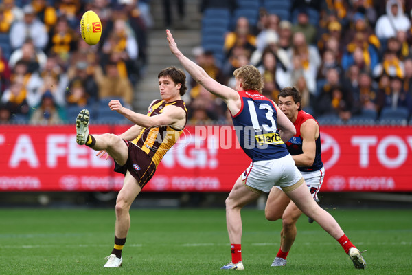 AFL 2025 Round 23 - Hawthorn v Melbourne - A-61418511