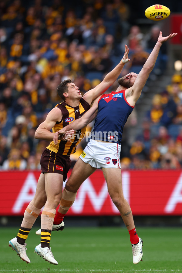 AFL 2025 Round 23 - Hawthorn v Melbourne - A-61418525