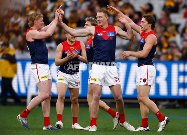 AFL 2025 Round 23 - Hawthorn v Melbourne - A-61418532