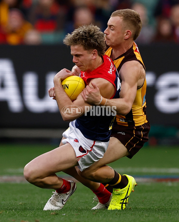 AFL 2025 Round 23 - Hawthorn v Melbourne - A-61418561