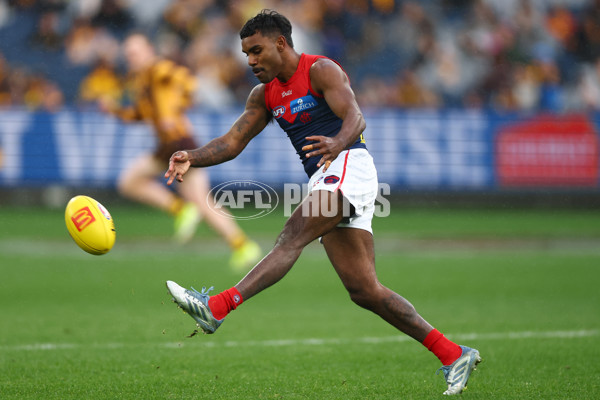 AFL 2025 Round 23 - Hawthorn v Melbourne - A-61418573