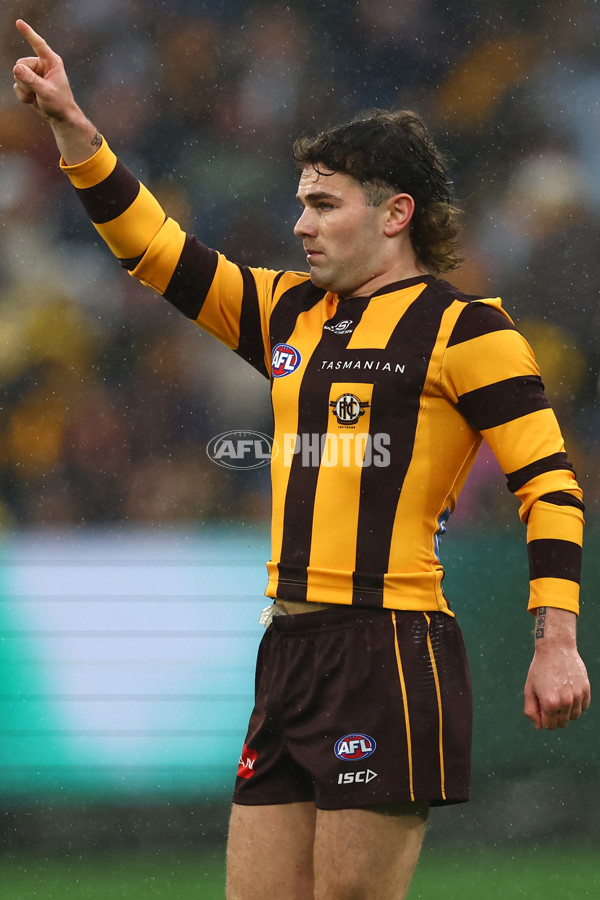 AFL 2025 Round 23 - Hawthorn v Melbourne - A-61418578