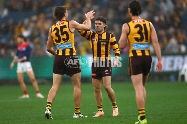 AFL 2025 Round 23 - Hawthorn v Melbourne - A-61418580