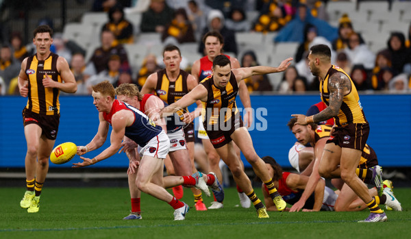 AFL 2025 Round 23 - Hawthorn v Melbourne - A-61418592
