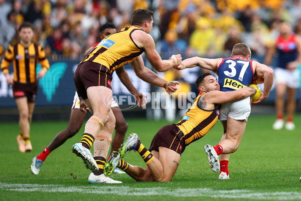 AFL 2025 Round 23 - Hawthorn v Melbourne - A-61418596