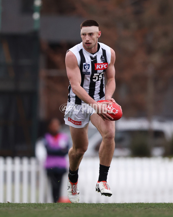 VFL 2025 Round 21 - Port Melbourne v Collingwood - A-61418600
