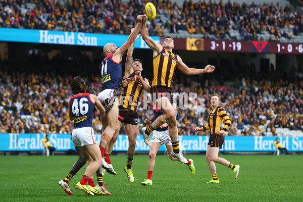 AFL 2025 Round 23 - Hawthorn v Melbourne - A-61418839