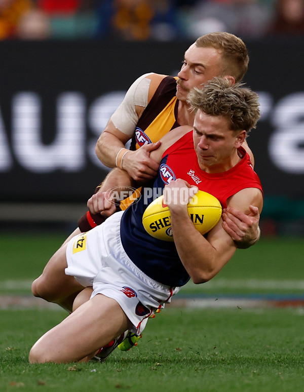 AFL 2025 Round 23 - Hawthorn v Melbourne - A-61418841