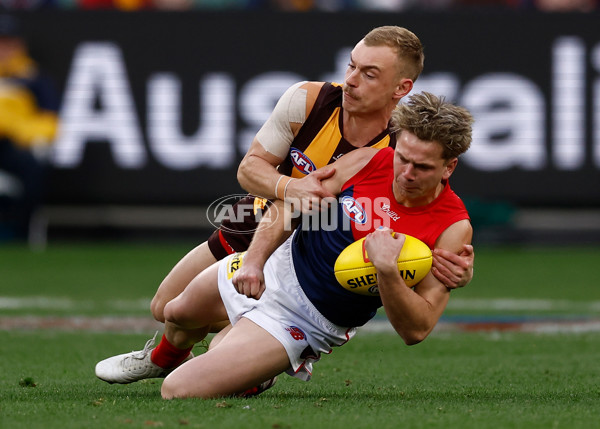 AFL 2025 Round 23 - Hawthorn v Melbourne - A-61418842