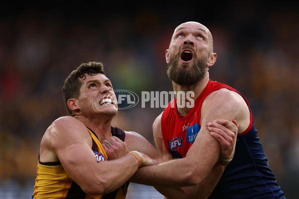 AFL 2025 Round 23 - Hawthorn v Melbourne - A-61418847