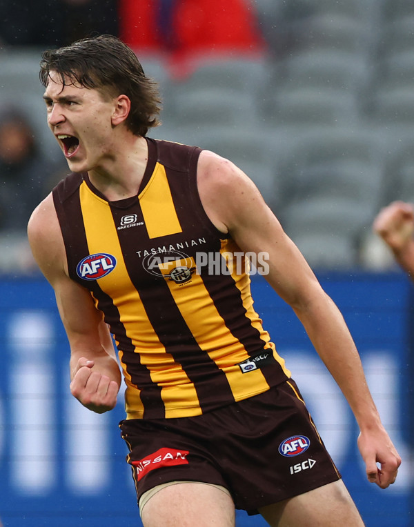 AFL 2025 Round 23 - Hawthorn v Melbourne - A-61418859