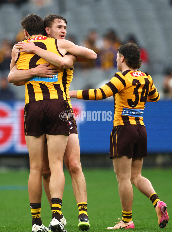 AFL 2025 Round 23 - Hawthorn v Melbourne - A-61418865