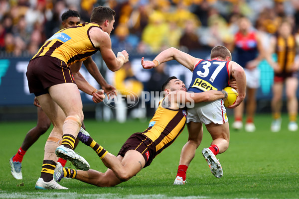 AFL 2025 Round 23 - Hawthorn v Melbourne - A-61418887