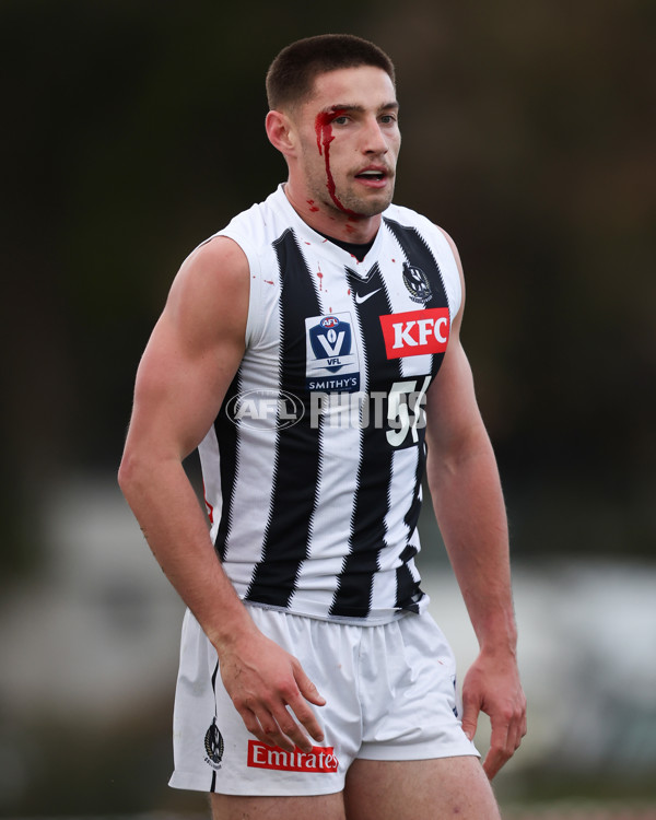 VFL 2025 Round 21 - Port Melbourne v Collingwood - A-61418890