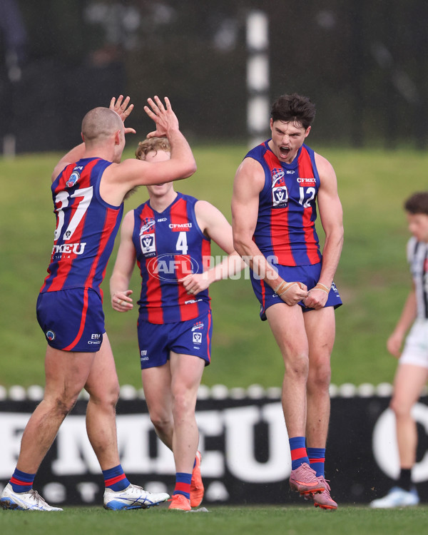 VFL 2025 Round 21 - Port Melbourne v Collingwood - A-61418892