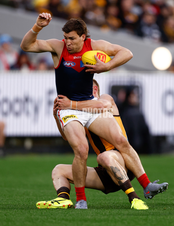 AFL 2025 Round 23 - Hawthorn v Melbourne - A-61418899