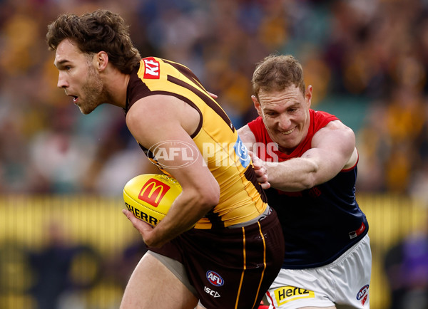 AFL 2025 Round 23 - Hawthorn v Melbourne - A-61418900