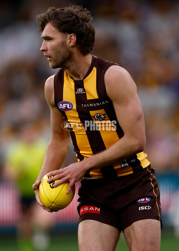AFL 2025 Round 23 - Hawthorn v Melbourne - A-61418901