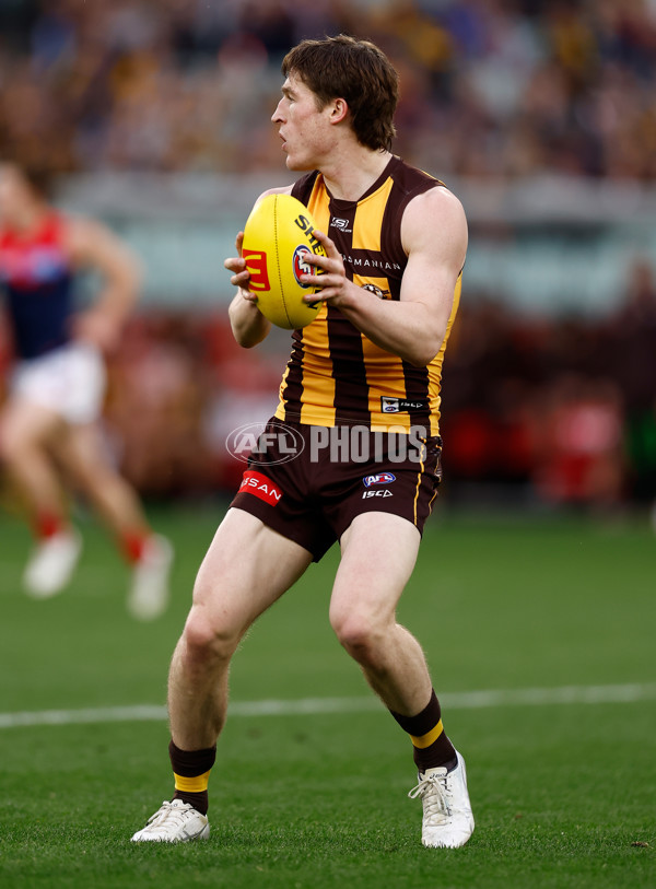 AFL 2025 Round 23 - Hawthorn v Melbourne - A-61421134